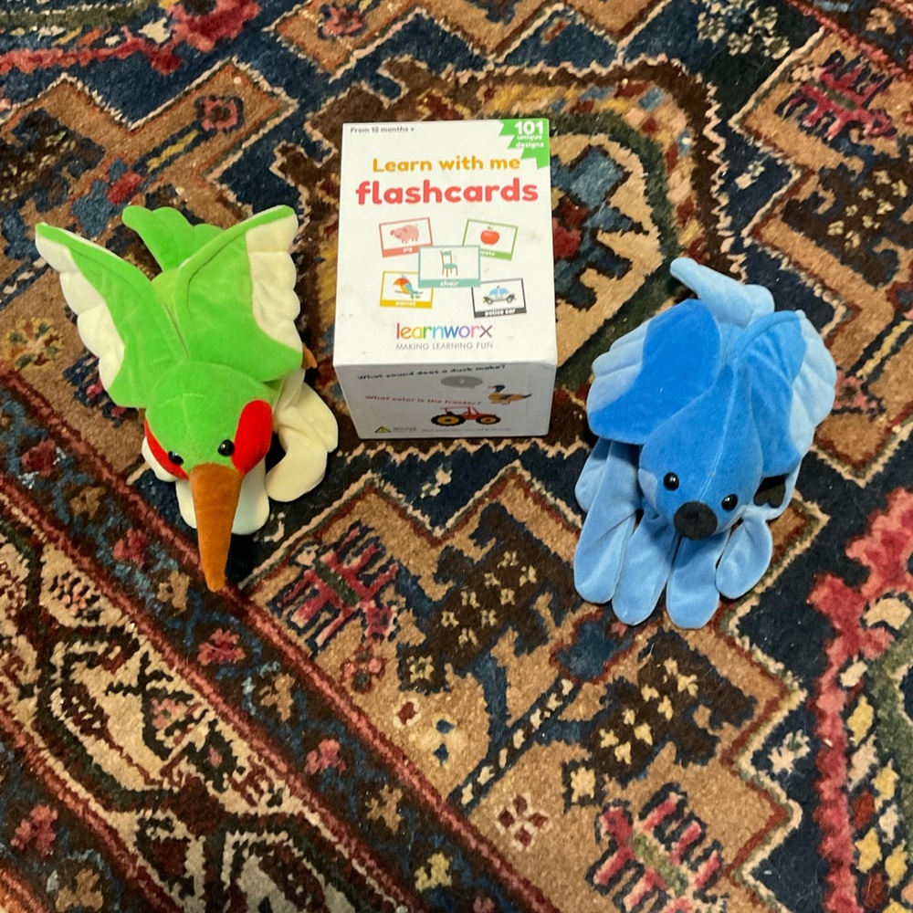 Flashcards with Plush Bird Toys
